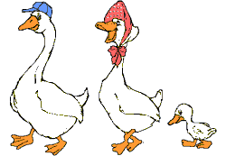 gæs teiknimyndir-gif